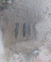 WhatsApp Image 2026-02-25 at 1.31.32 PM