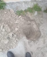 WhatsApp Image 2026-02-25 at 1.32.10 PM